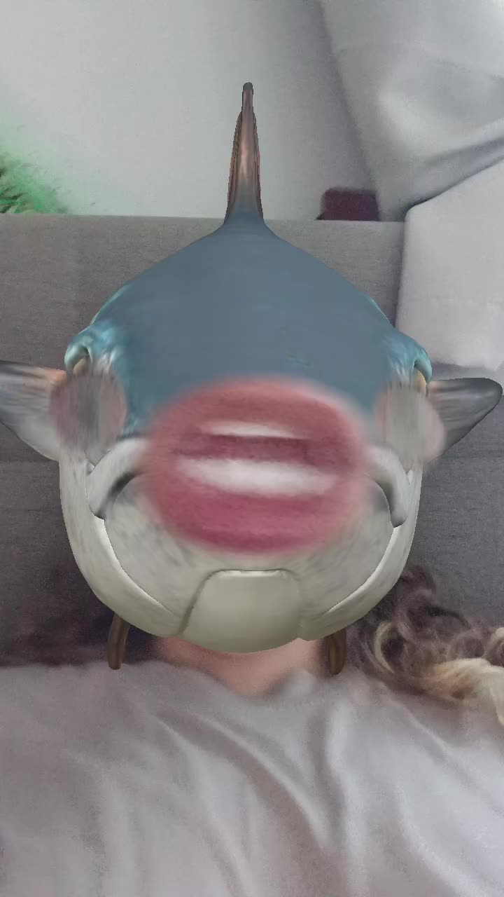 @Stella_and_furry_MFL_