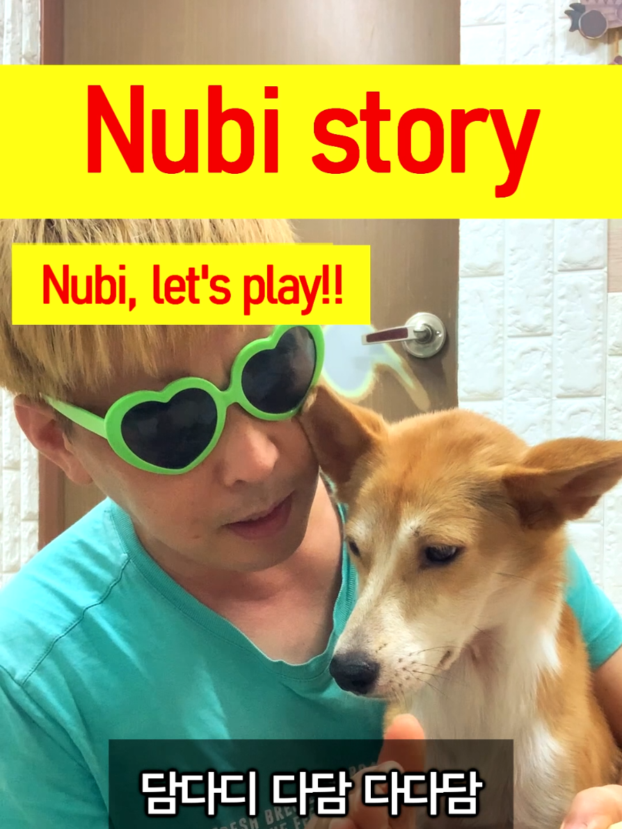 @누비★스토리 Nubi story