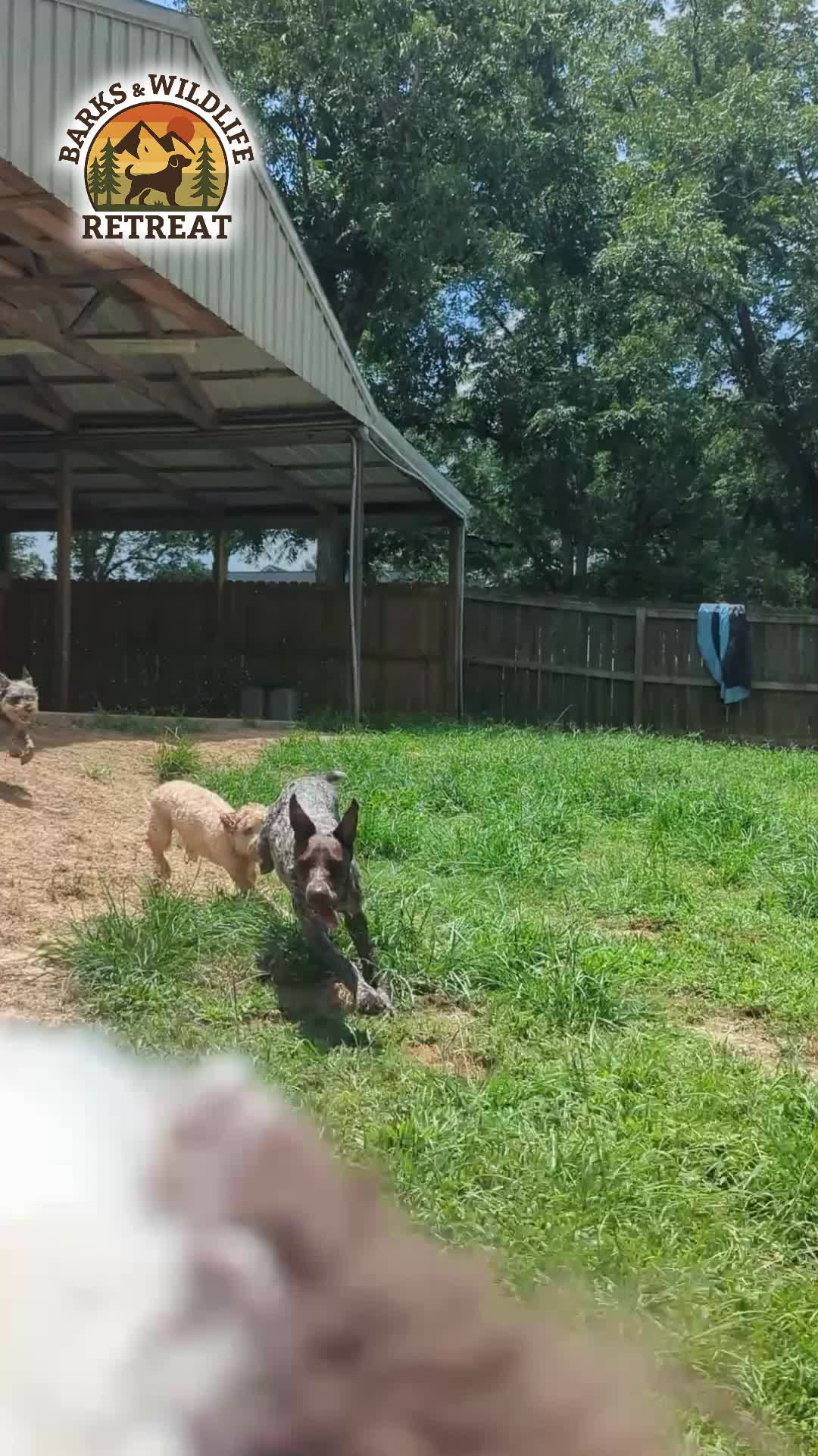 @Barks & Wildlife Longville LA