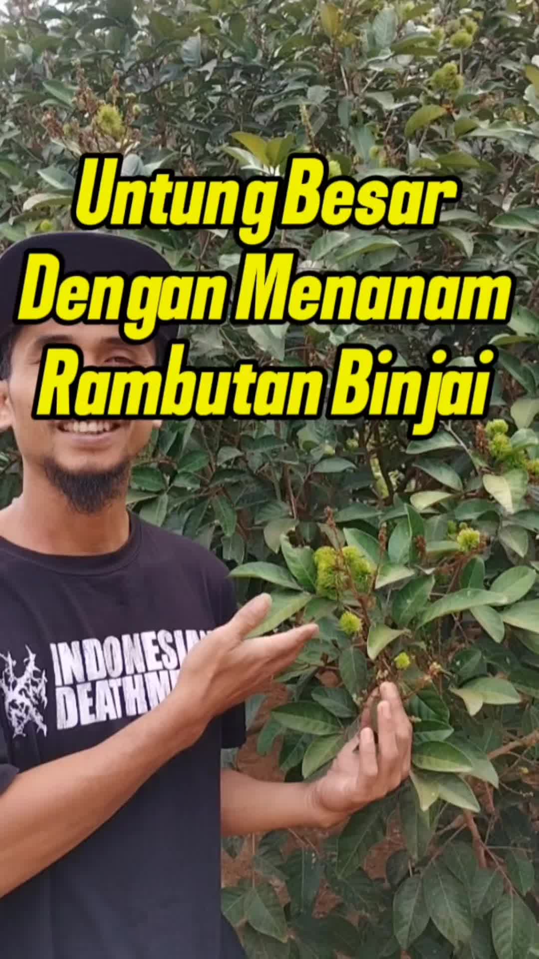 @Bukit Farming