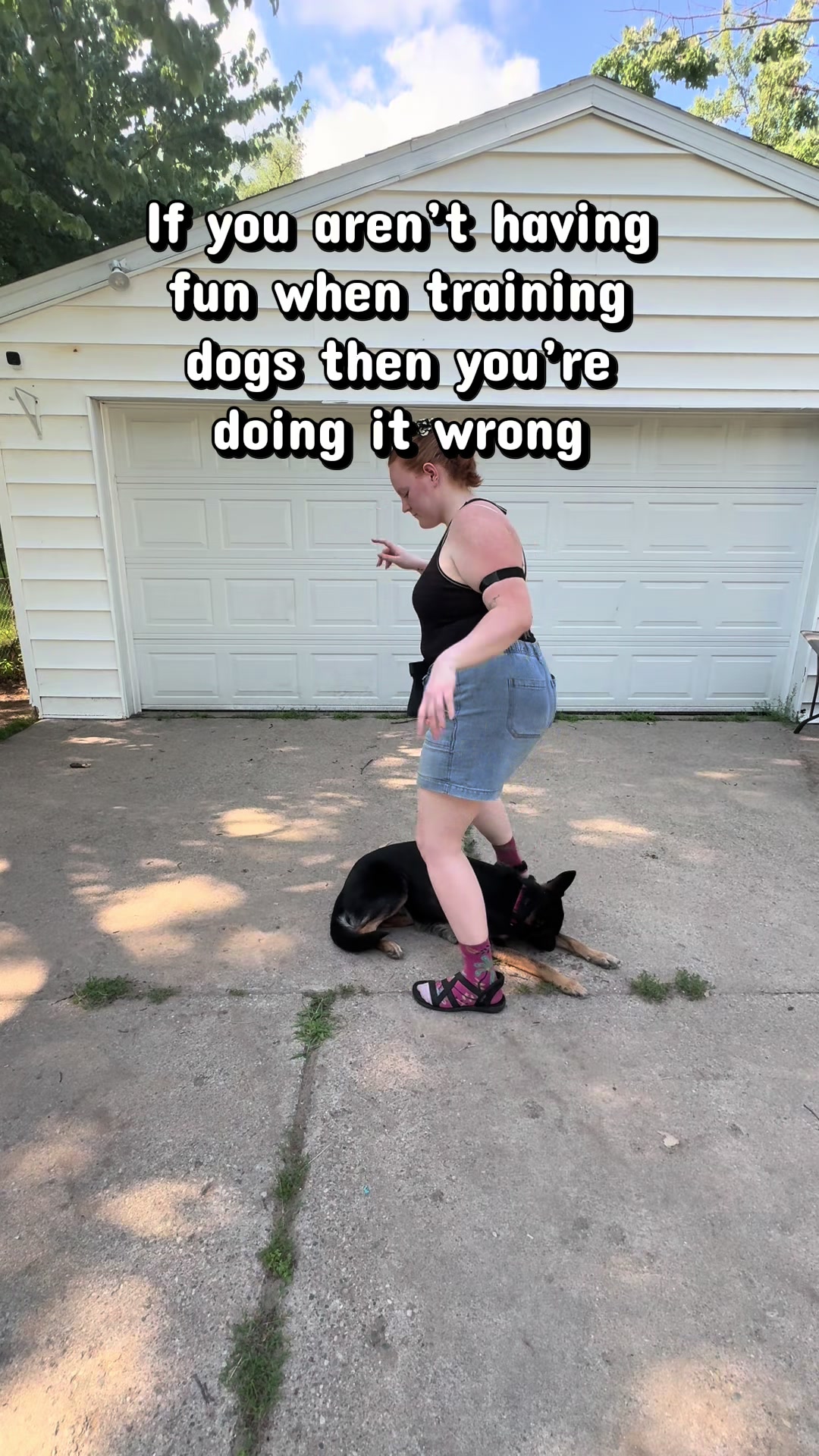 @potsiewithdogs