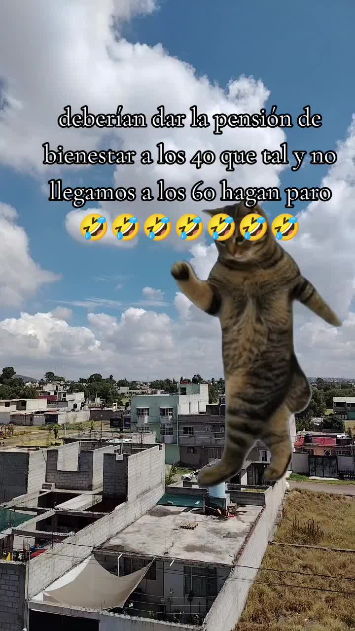 @Mónica Guzman