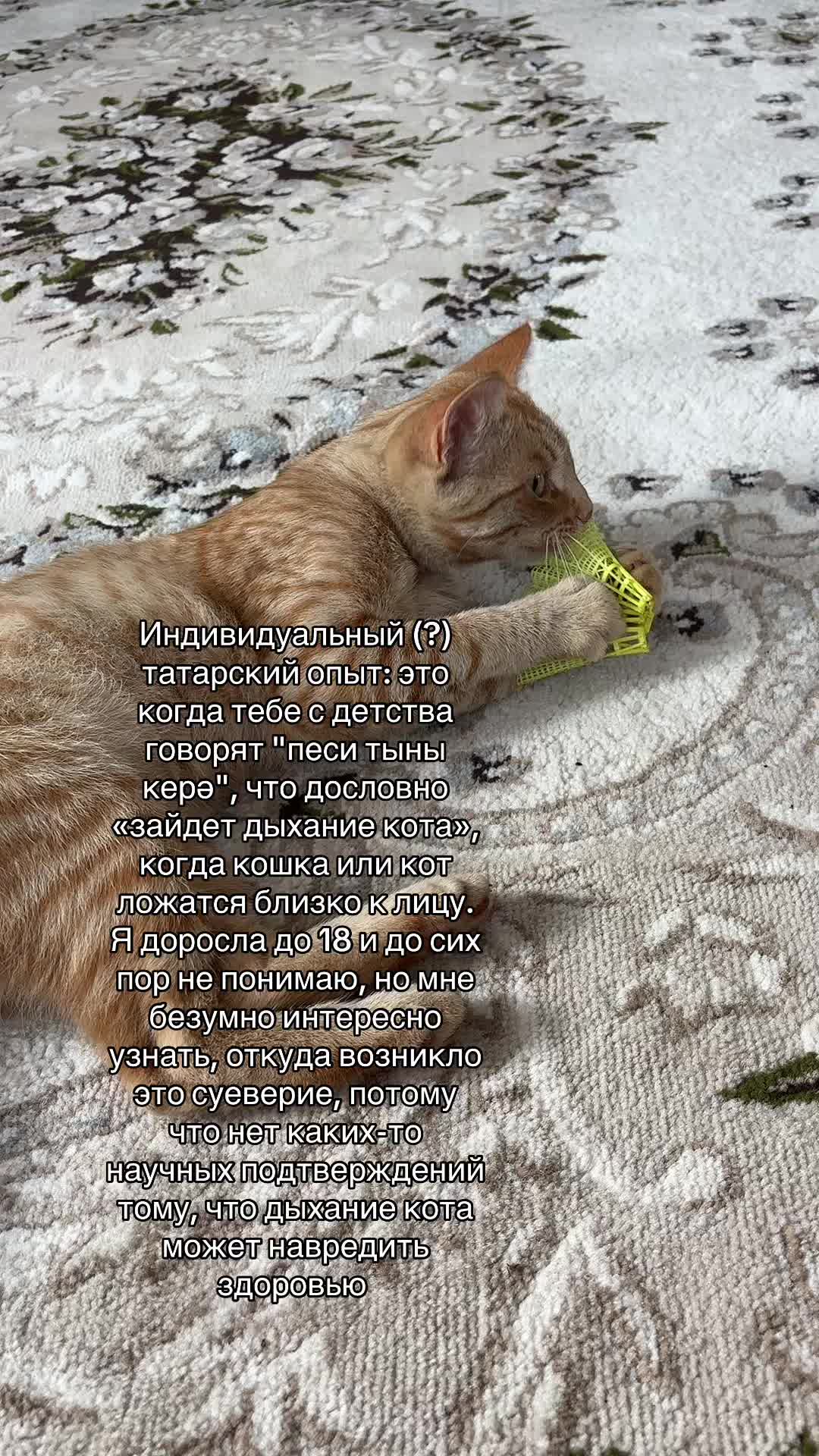 @эльвина