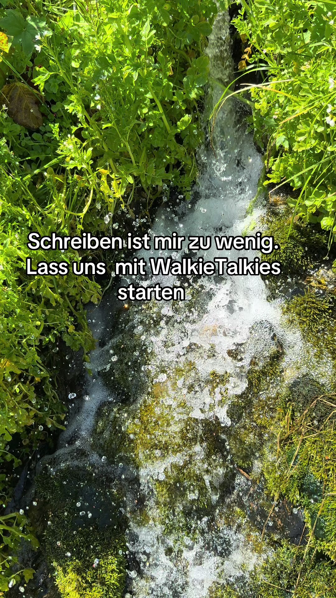 @Lars Laux