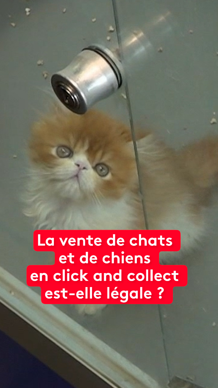 @le20hfrancetelevisions