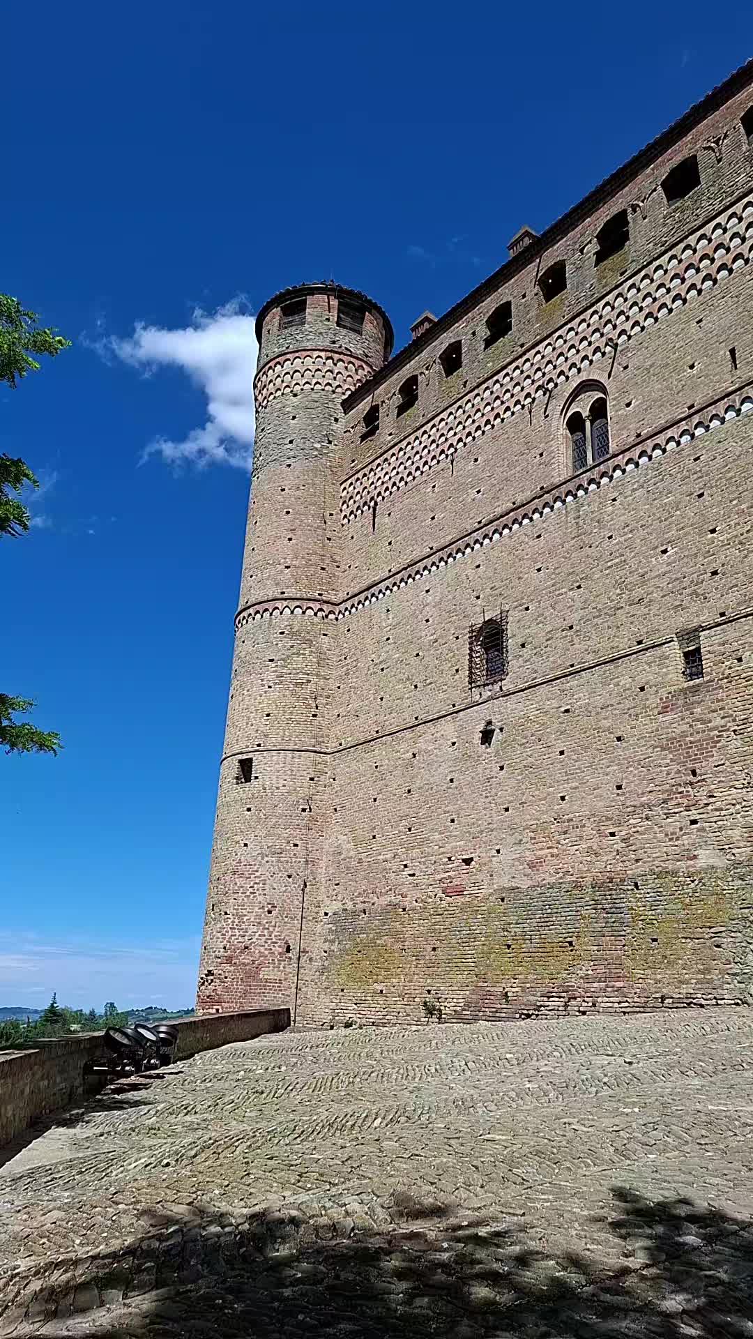 @coccinella72