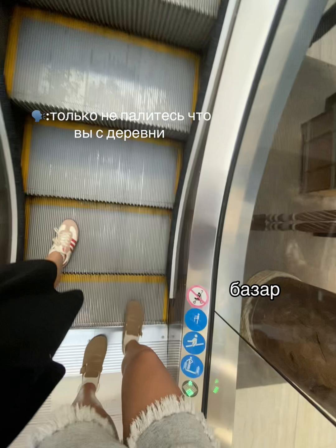 @дарино🪽