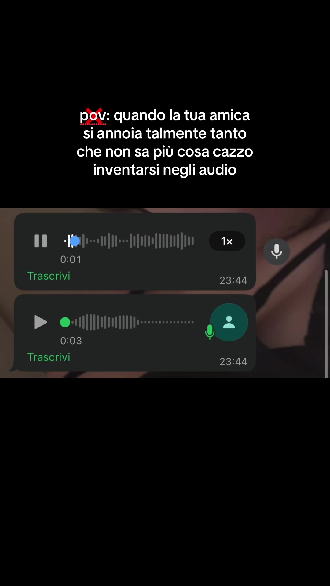 @giulspam🐆