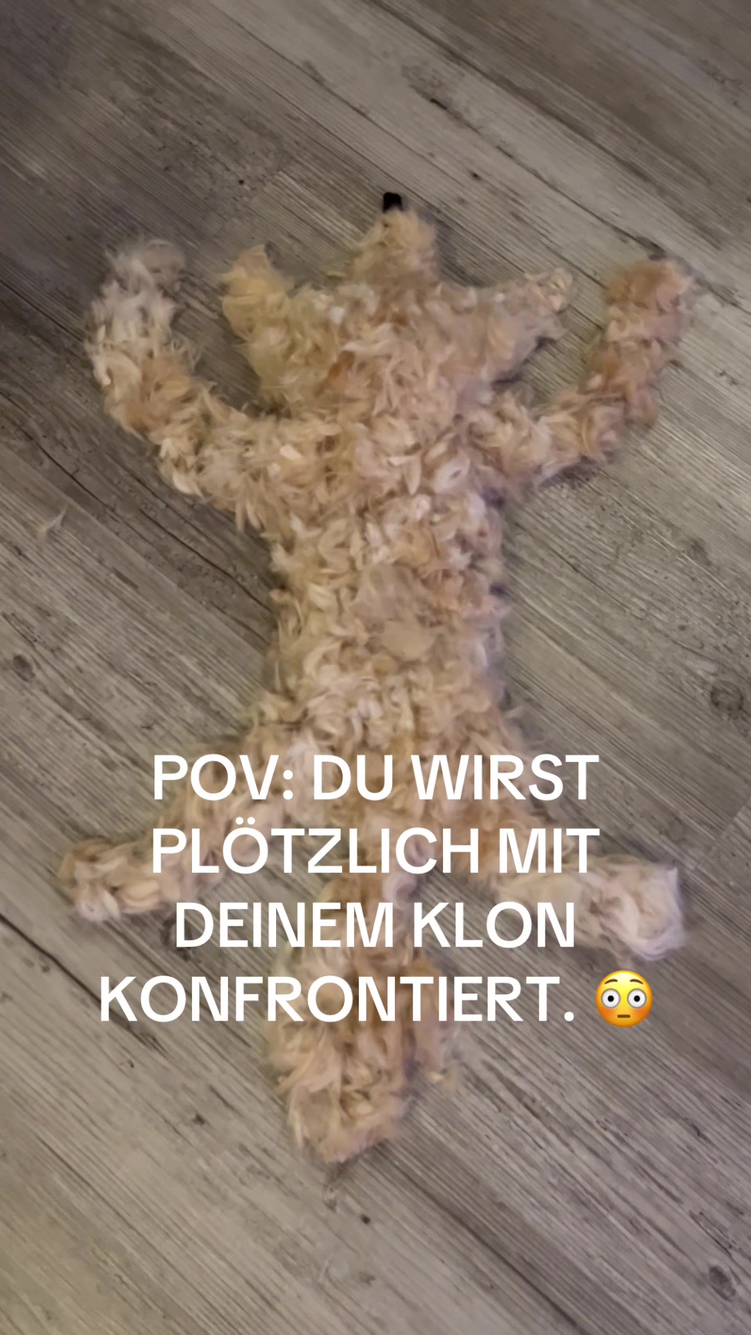 @DogMilow