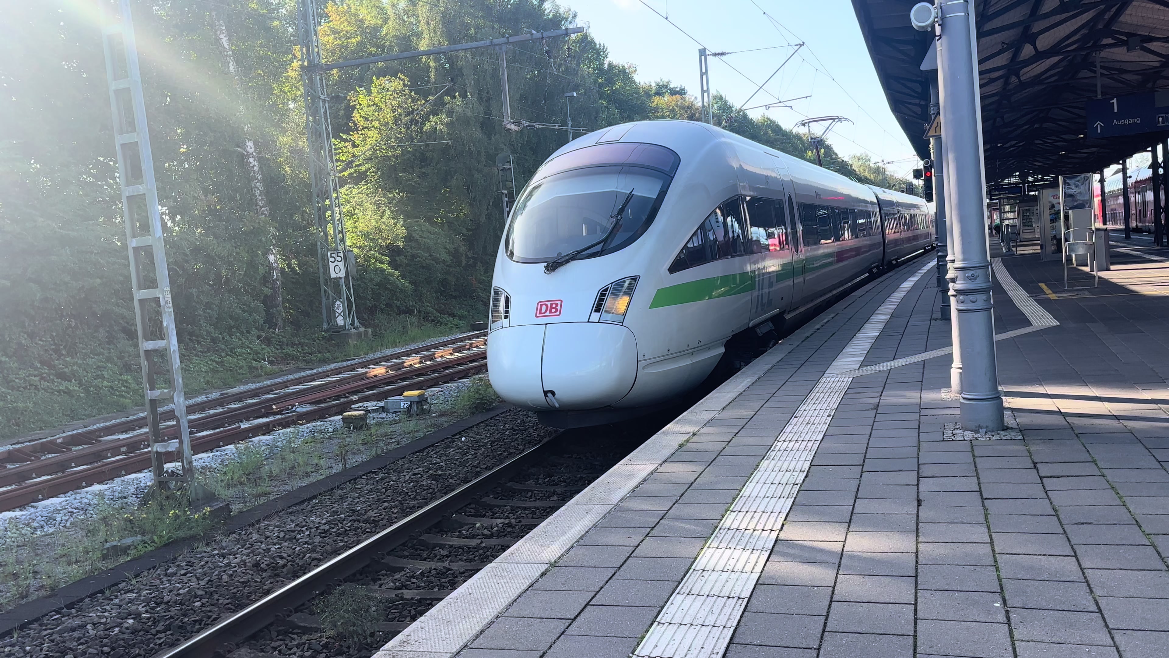 @Trainspotter_BVB🖤💛