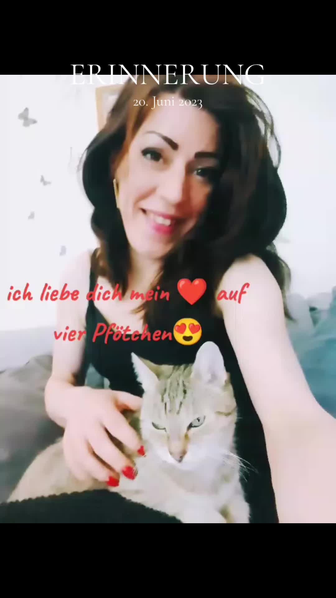 @Janine_schmetterling