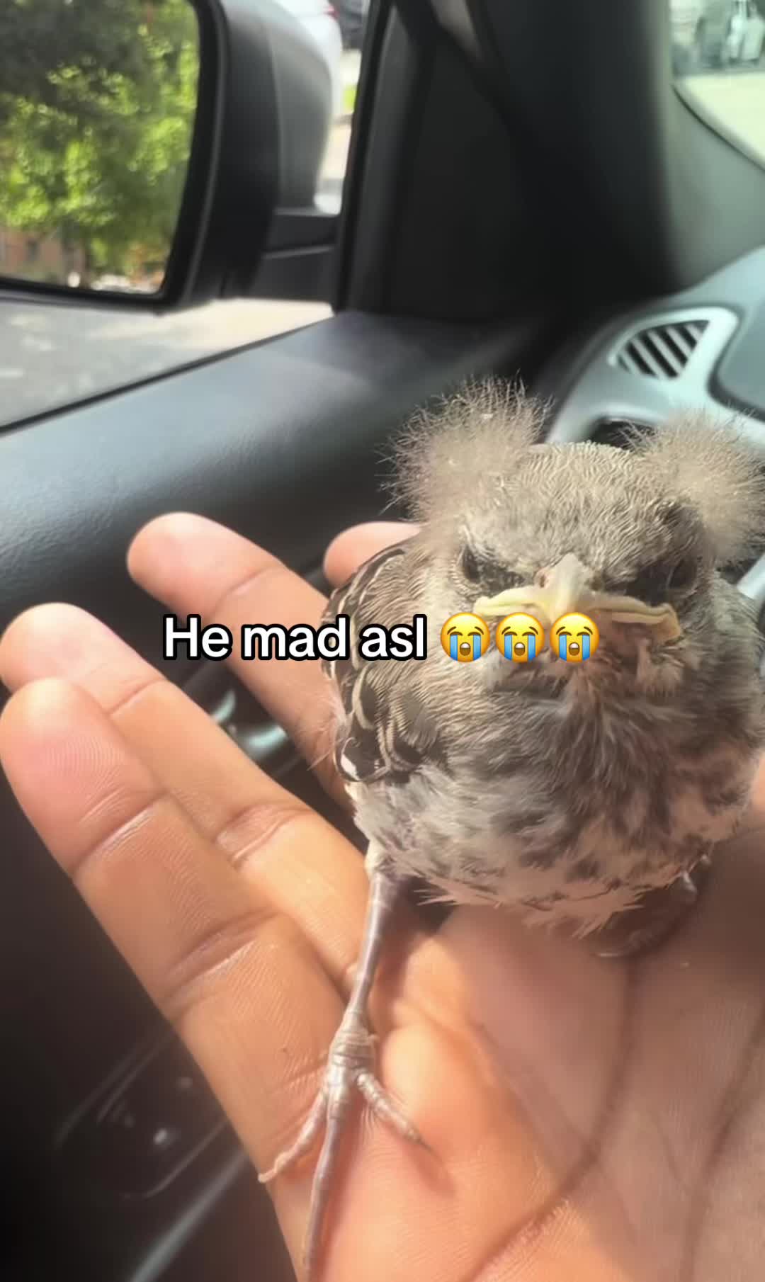 @Hxbitz