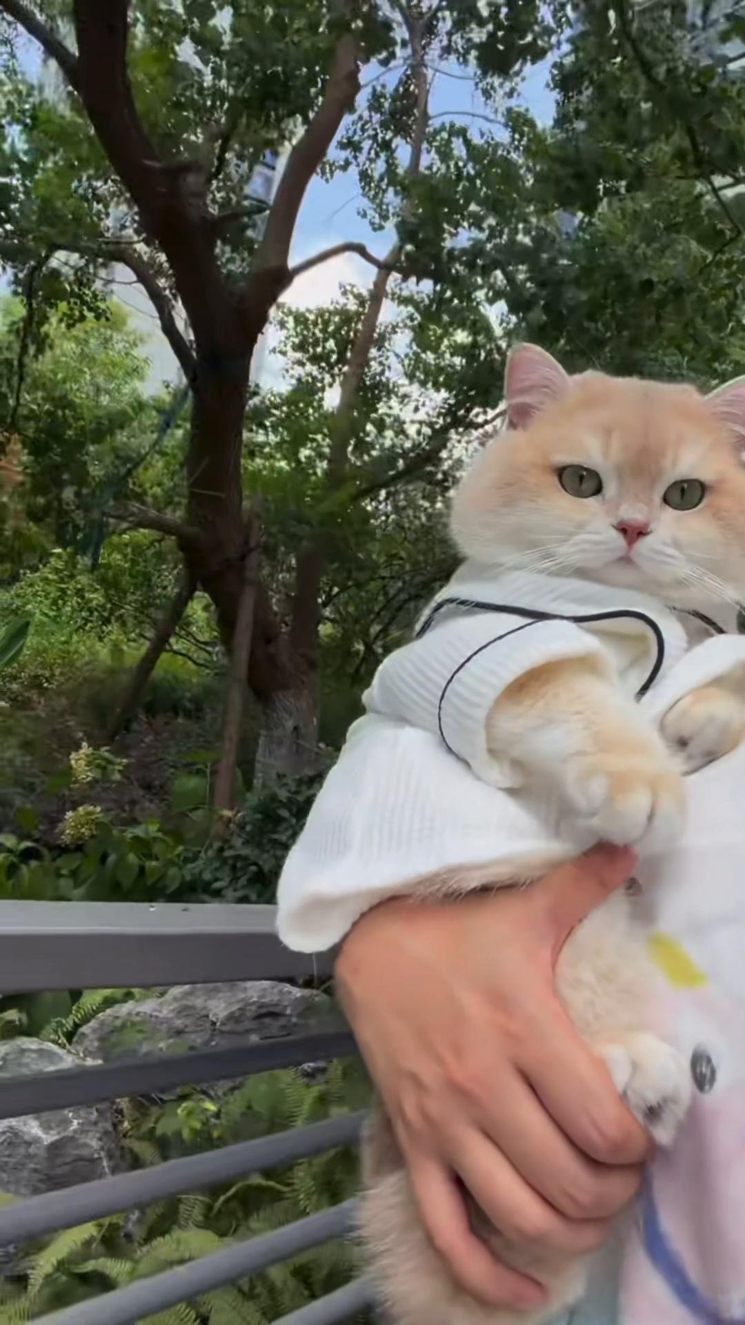 @My Daily Dose of Aww
