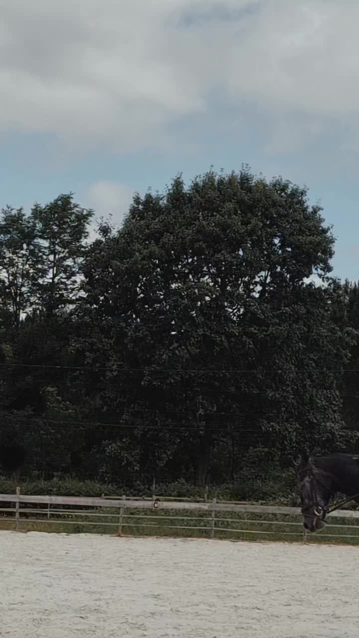 @Une.fleur.a.cheval