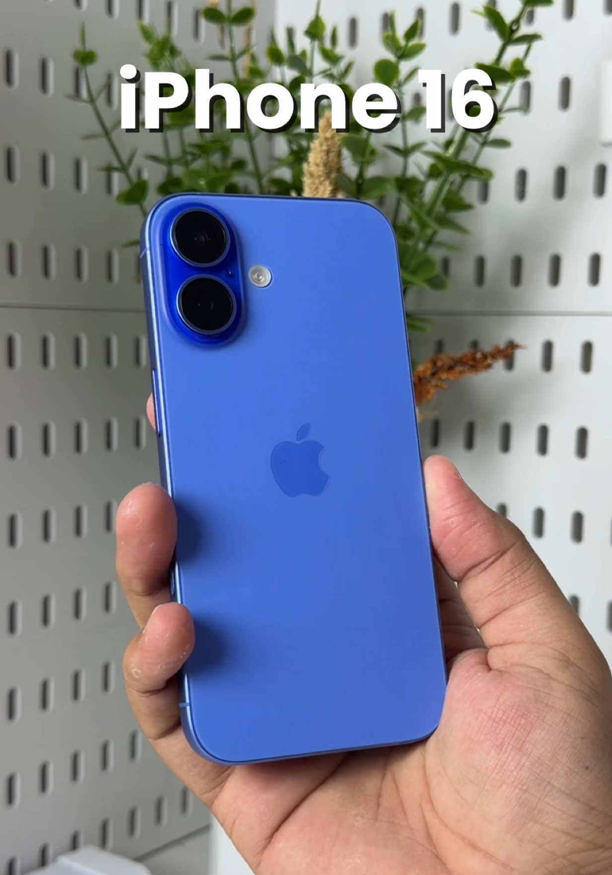 @iPhonary 🩷