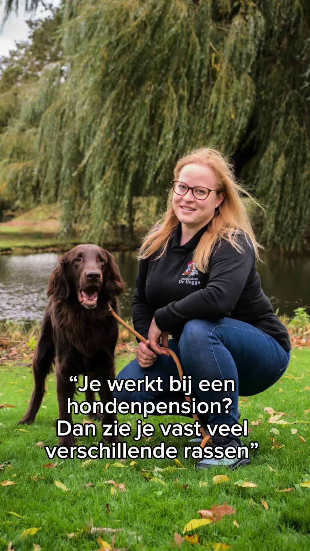 @HuisdierenhotelDeHeggeWeert