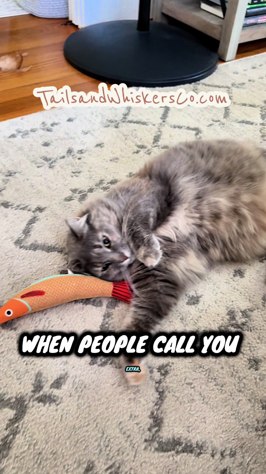 @TailsandWhiskersCo
