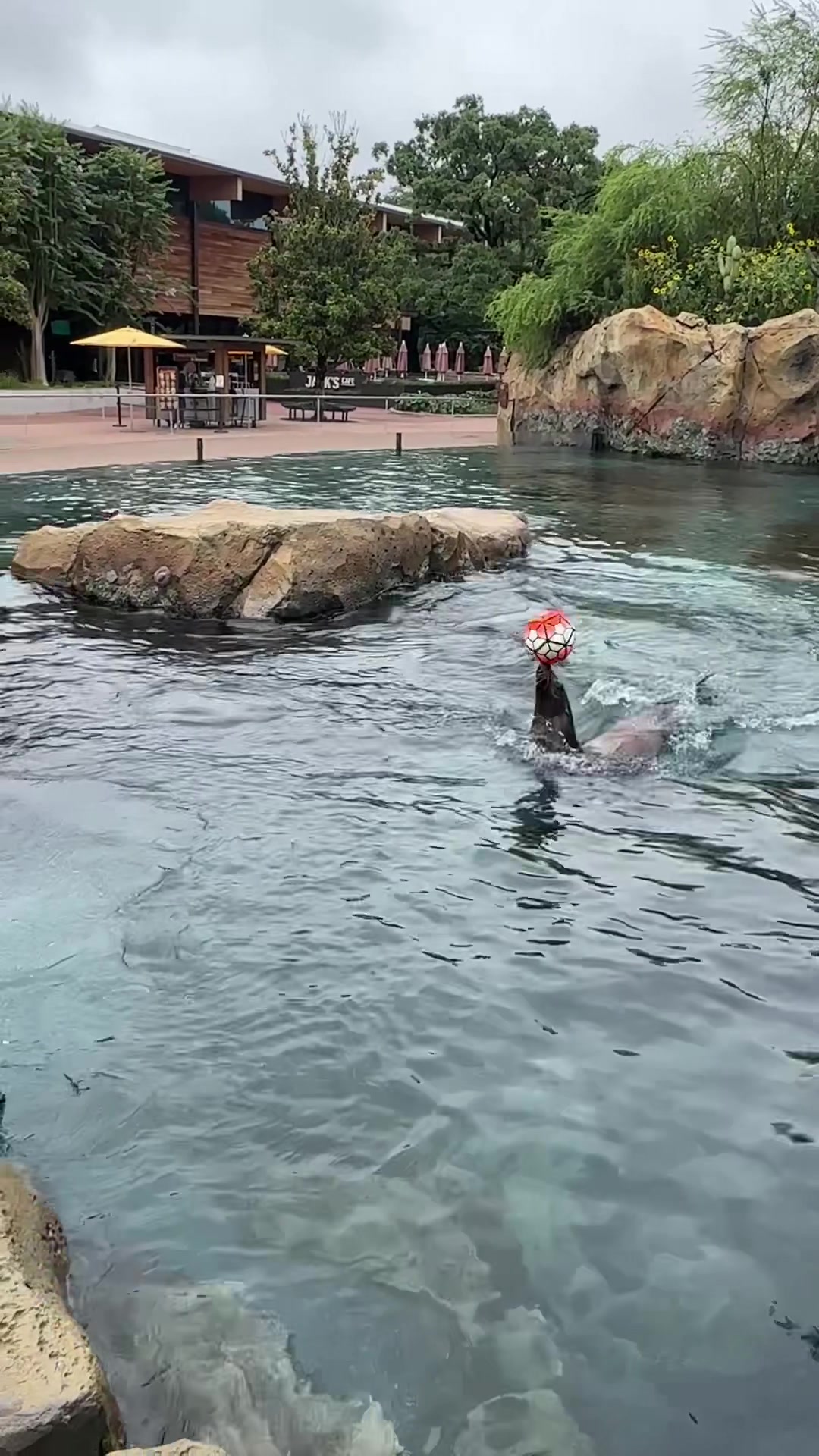@Houston Zoo