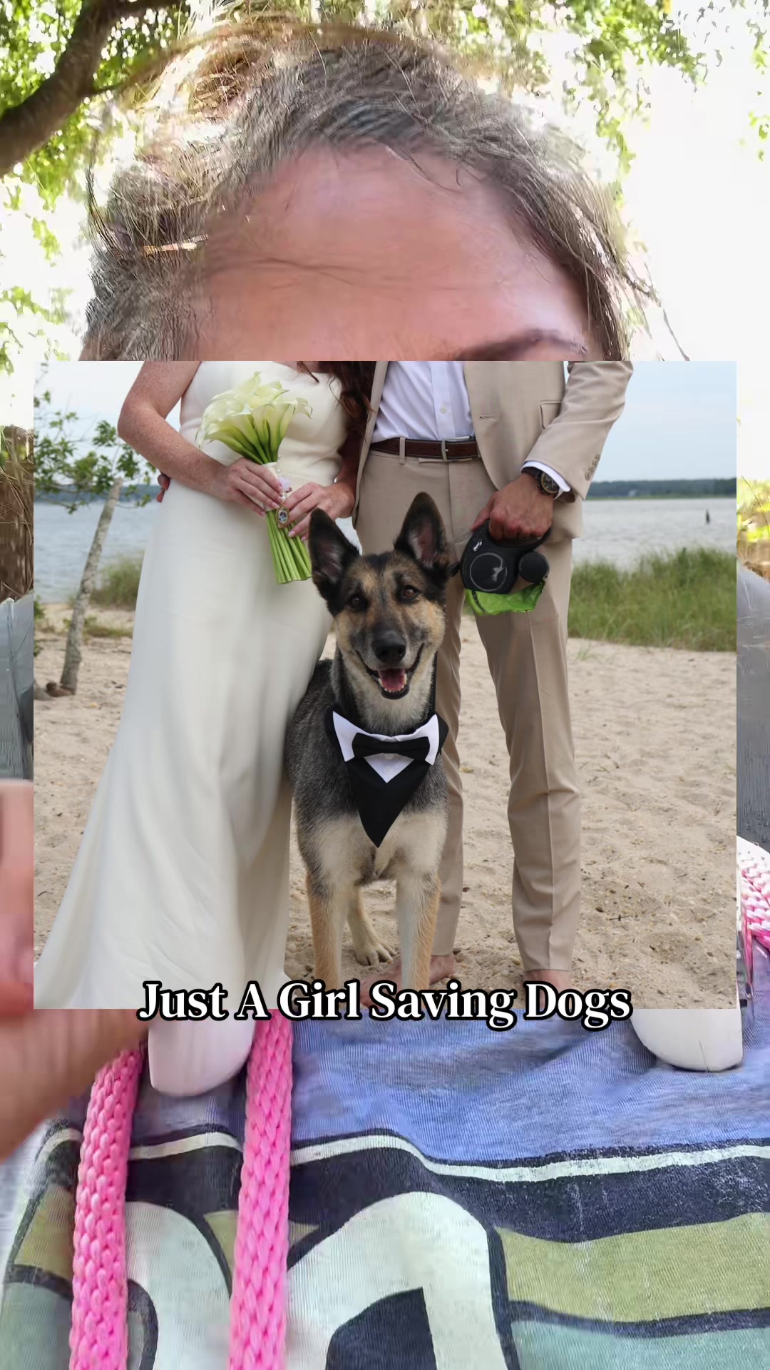 @Just A Girl Saving Dogs