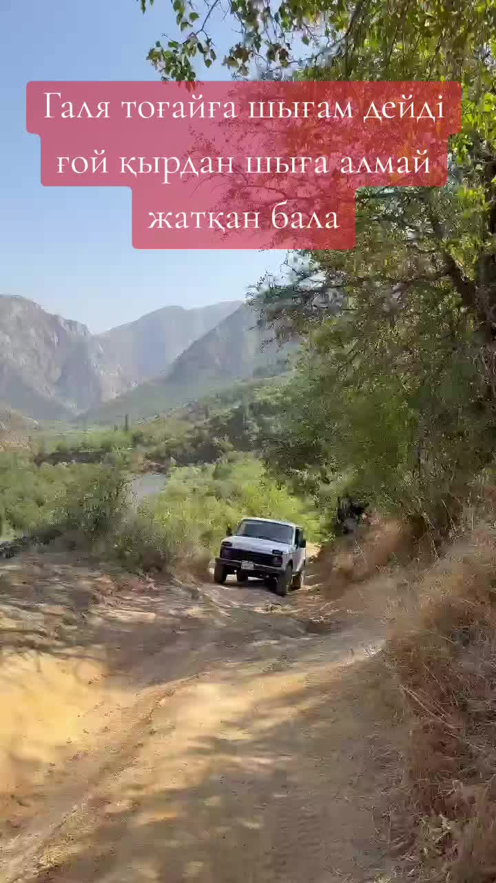 @Barni koke