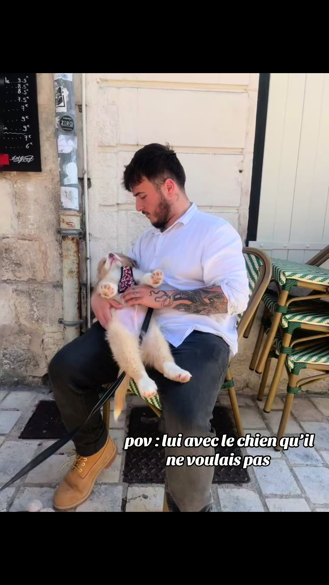 @S&eacute;r&eacute;na 🐺