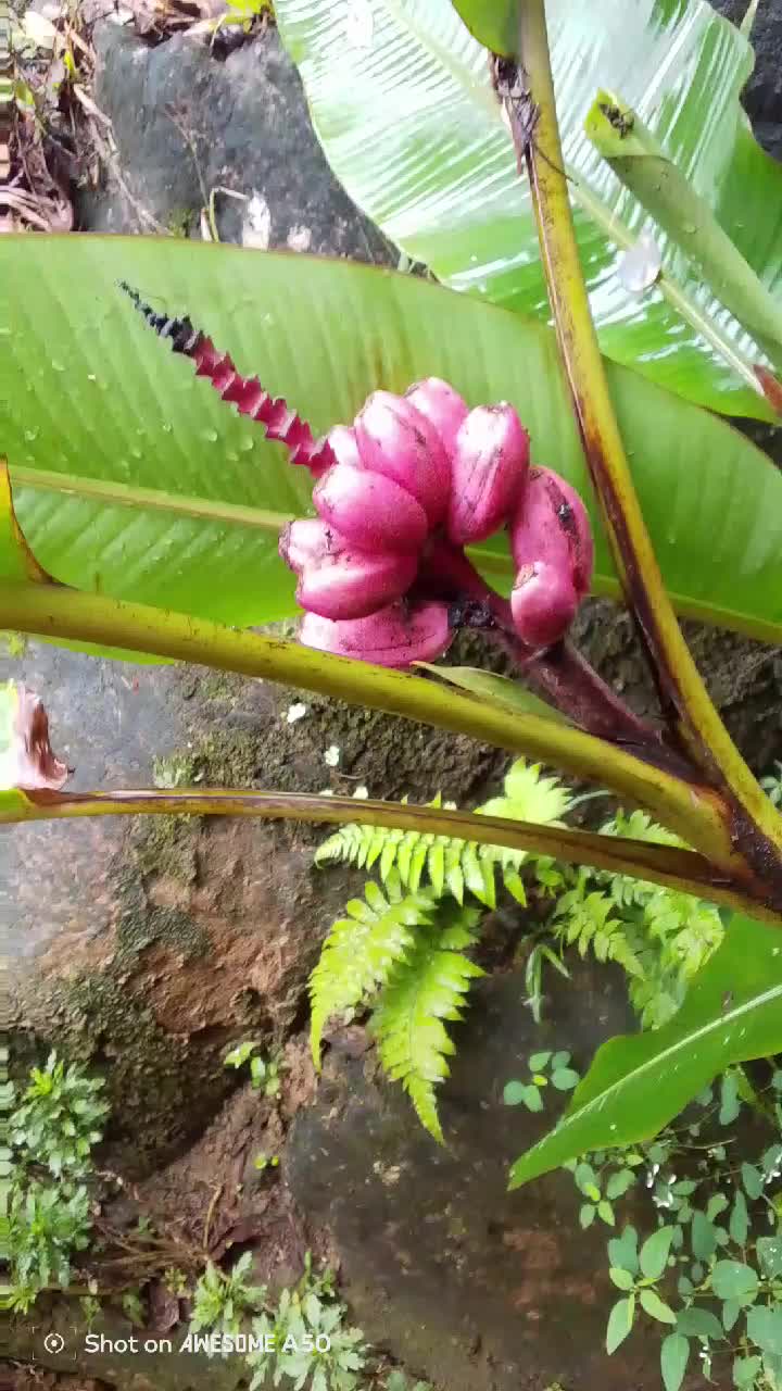 @❤பிரியா ❤