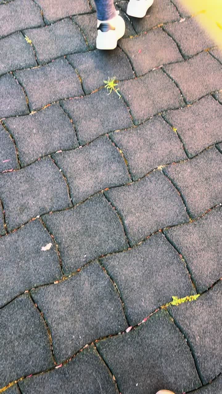 @•°Ť•Å•Ɲ•Ï•Ų•Ṣ̌•Ą°•