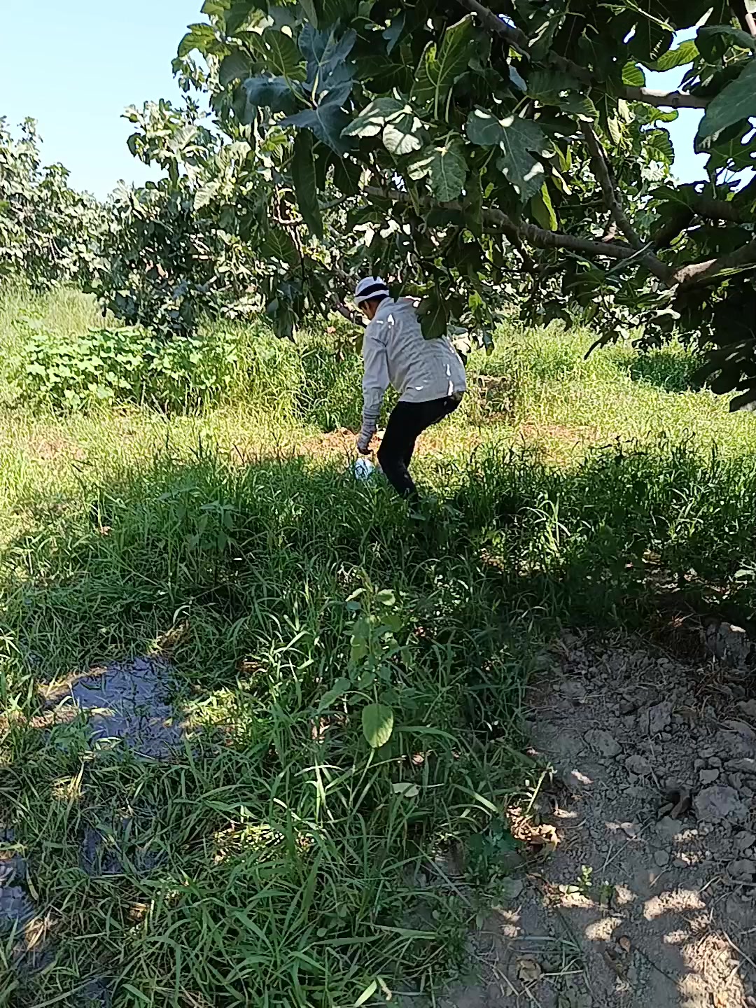 @firatavci315
