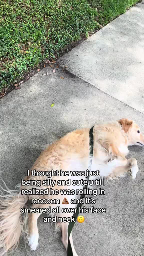 @Ja