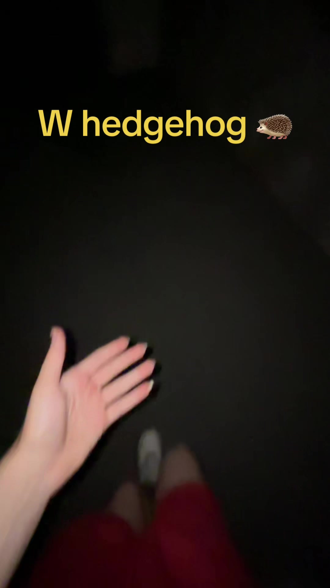 @❤️
