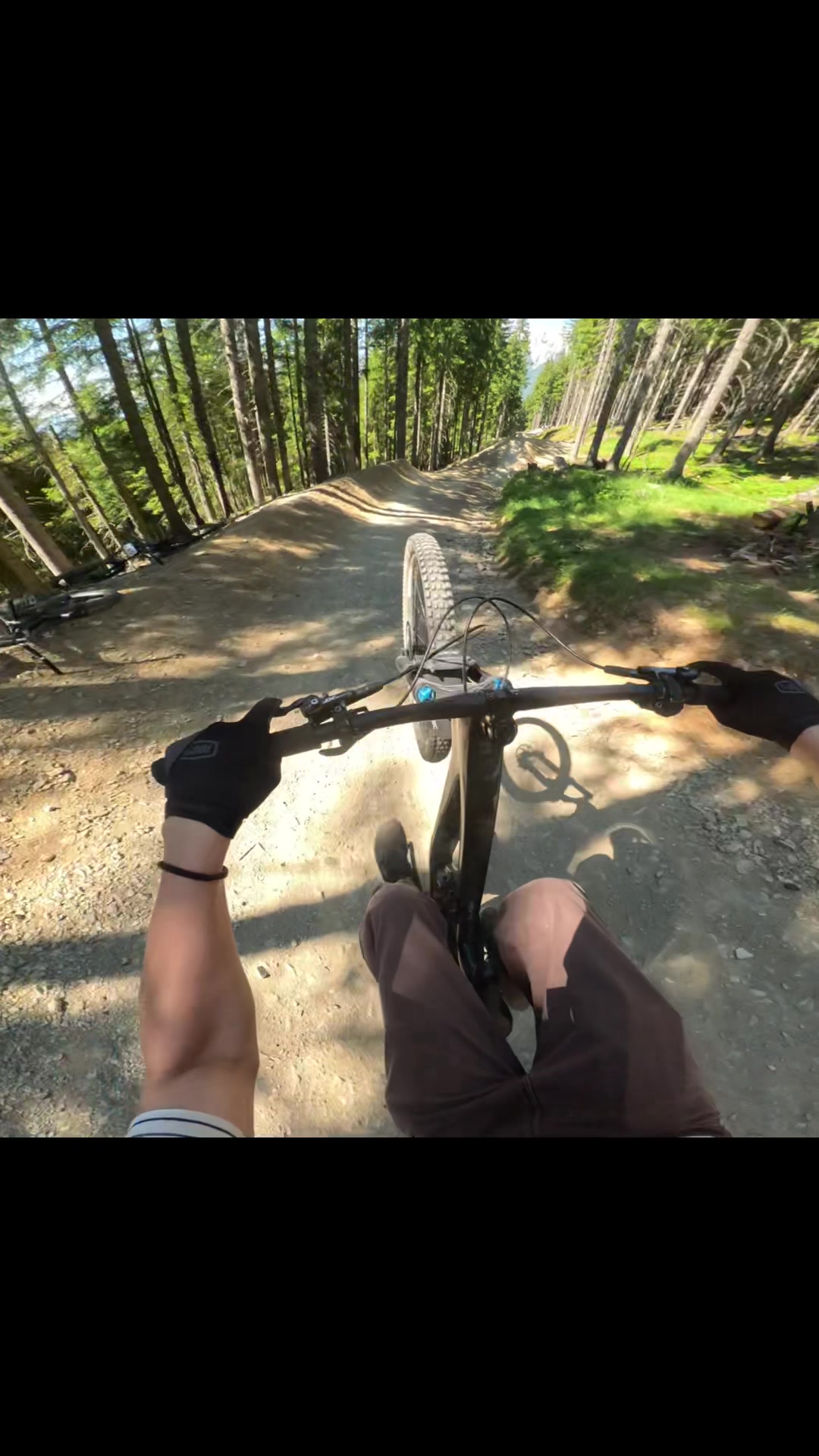 @🌲Freeride_Paul🌲