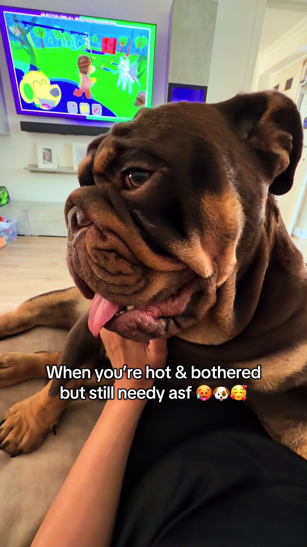 @Vinnie Bulldog
