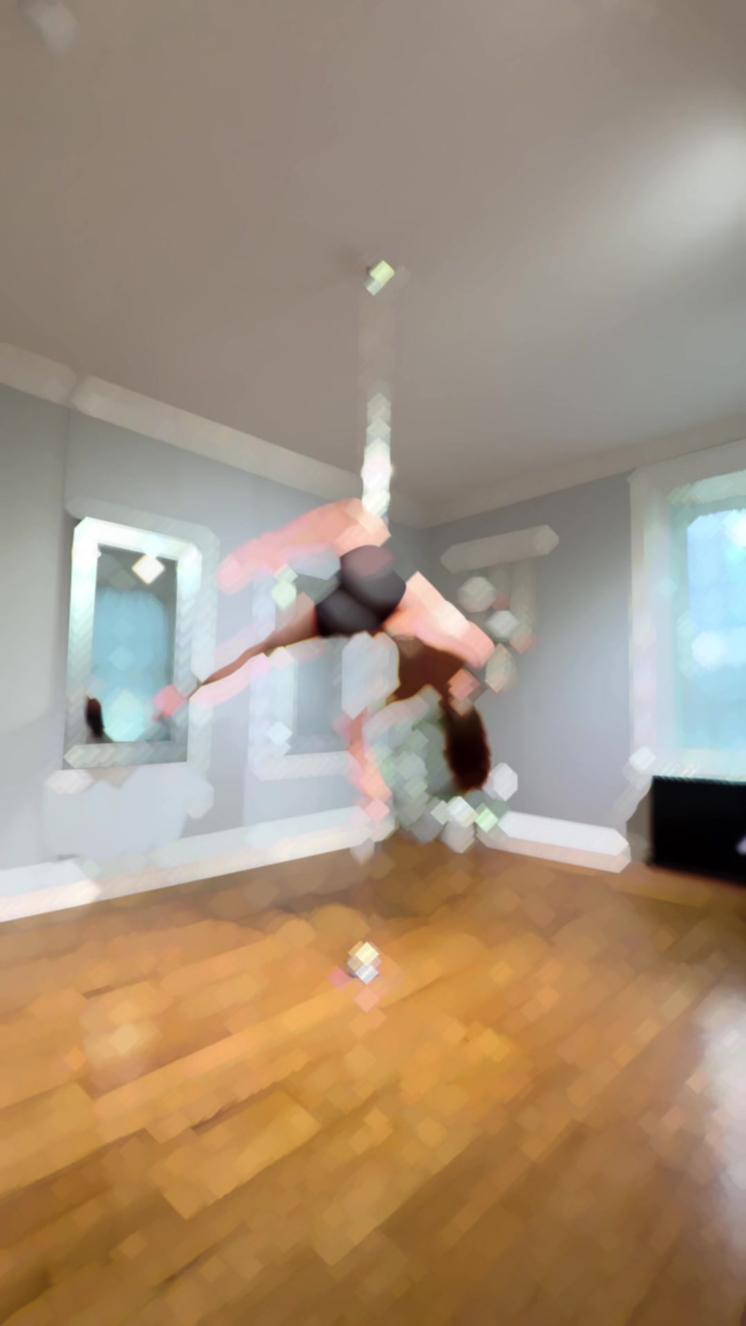 @Aerial Allie