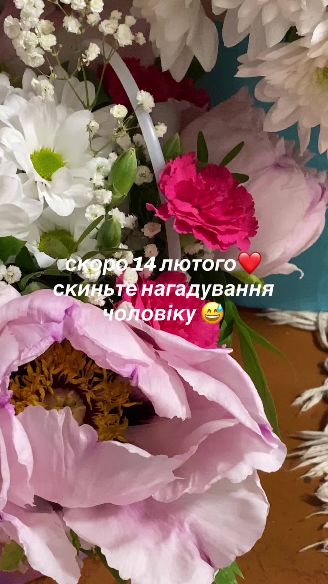 @vita1inaaaa