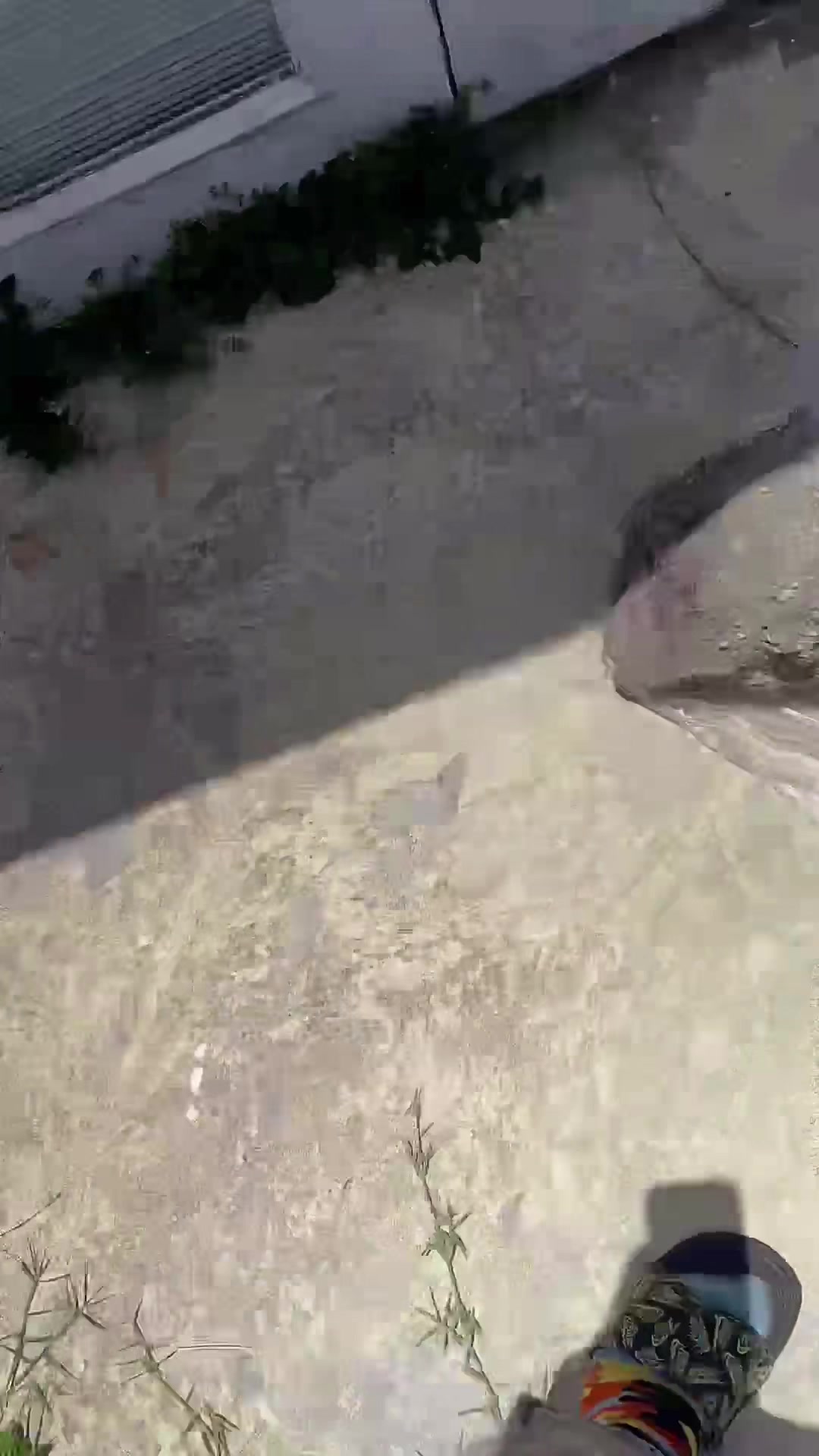 @iamreptilianmarc