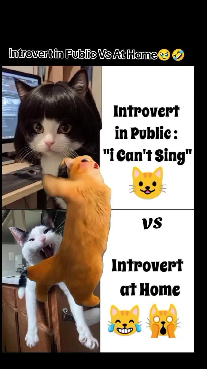 @✿نور محايزا✿(。◕‿◕。)