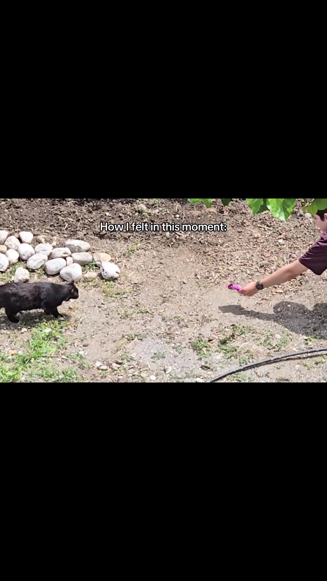@girlwith.thecatahoula