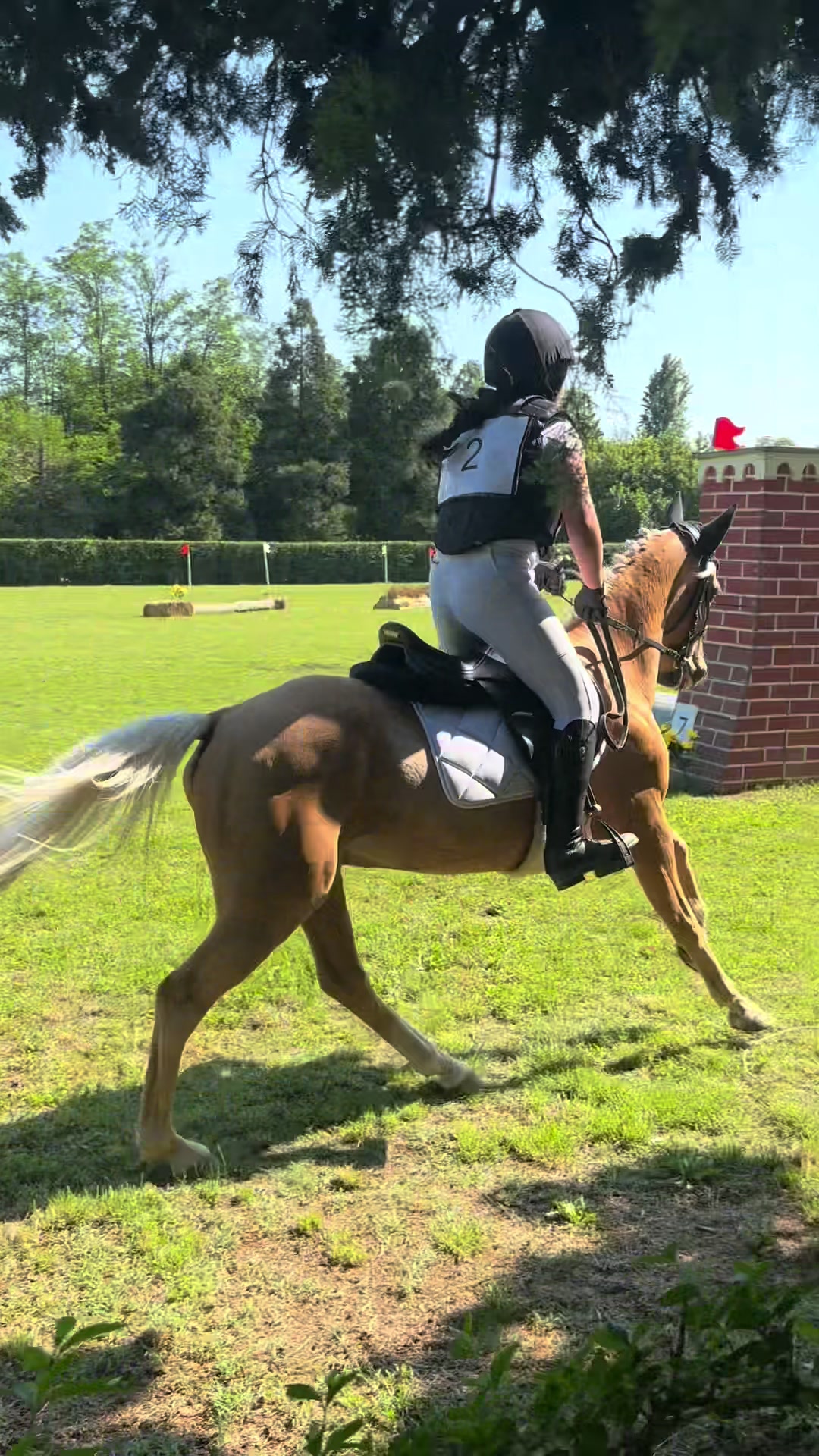 @м&iota;&alpha; 🐴💛