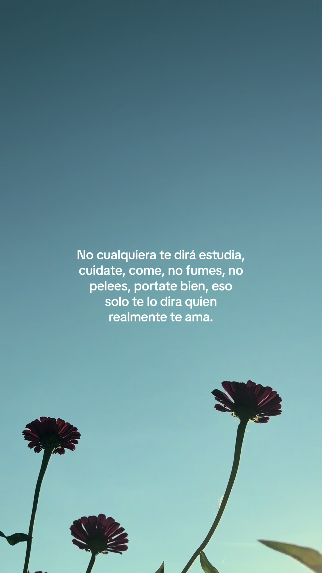 @&ldquo;Voces del Eco&rdquo;