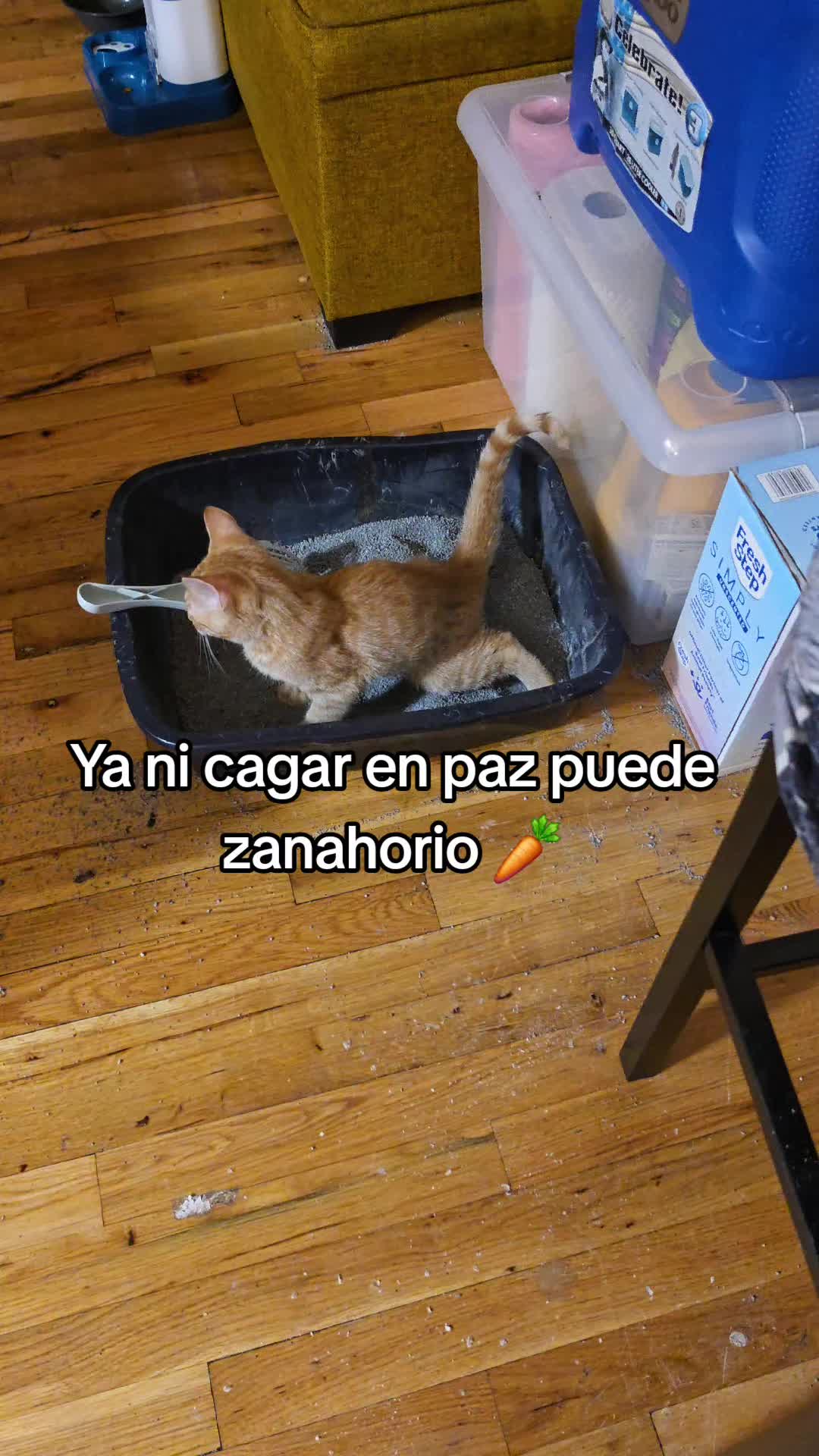 @🌻La_Catracha👑🇭🇳