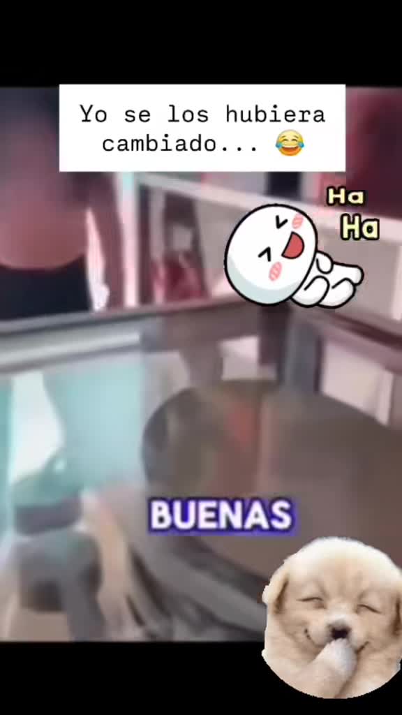 @el panda solitario