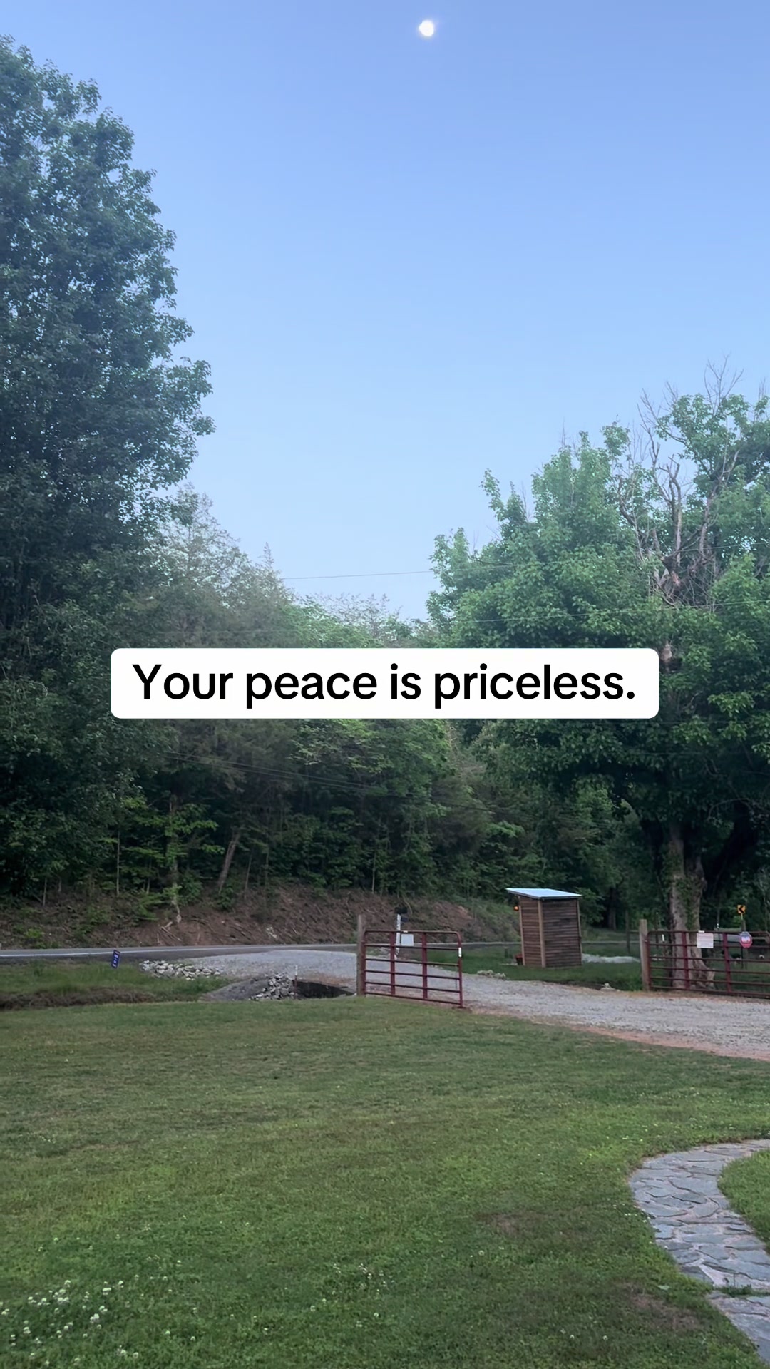 @Enchanted Hollow Homestead ✨🌲