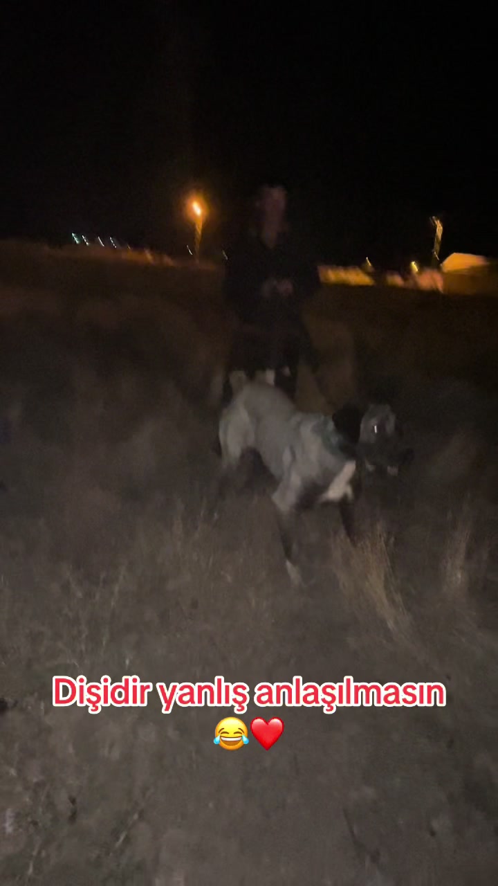 @🌹Kamuran Çimen🌹