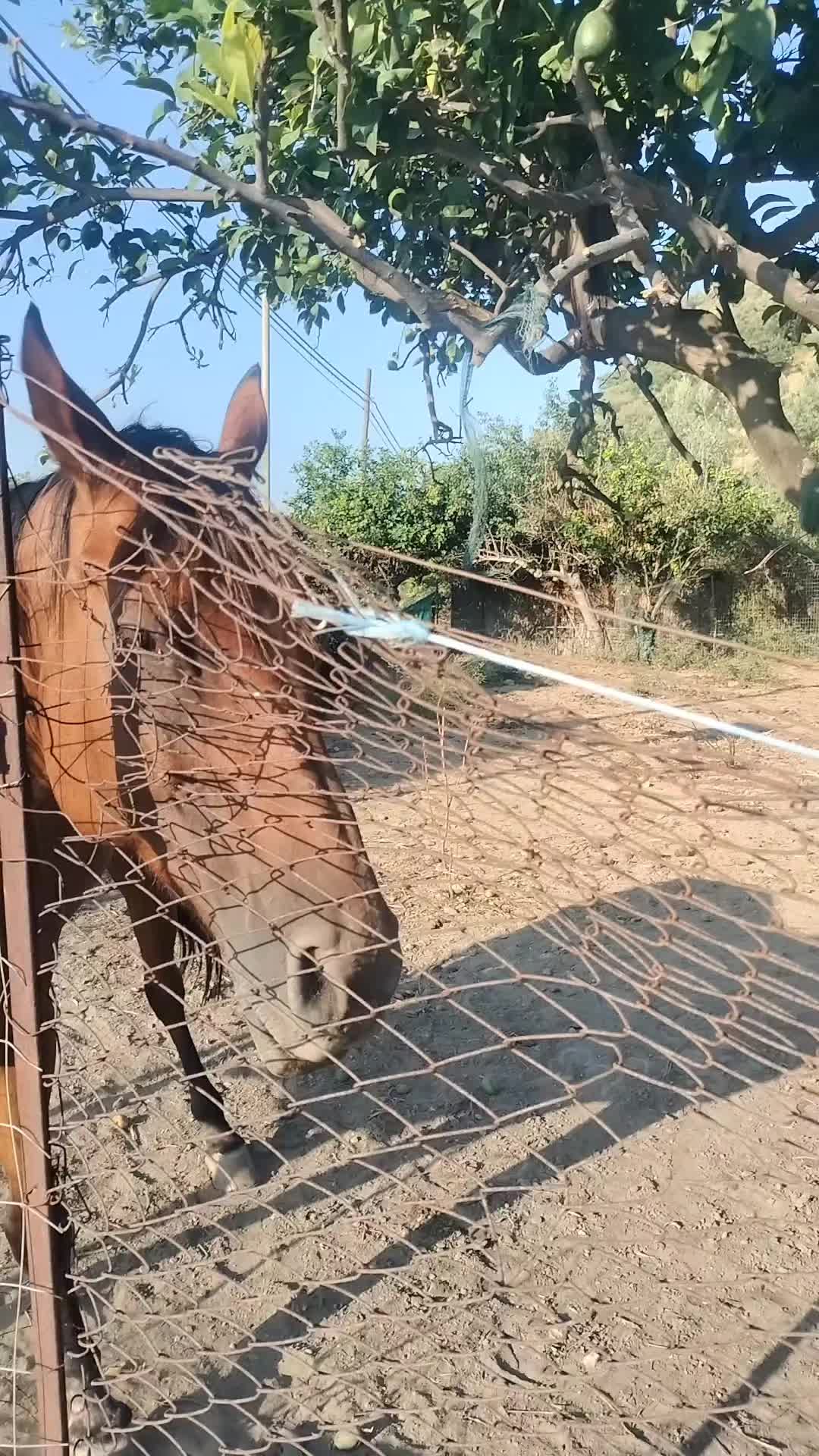 @Francesco Cucinotta