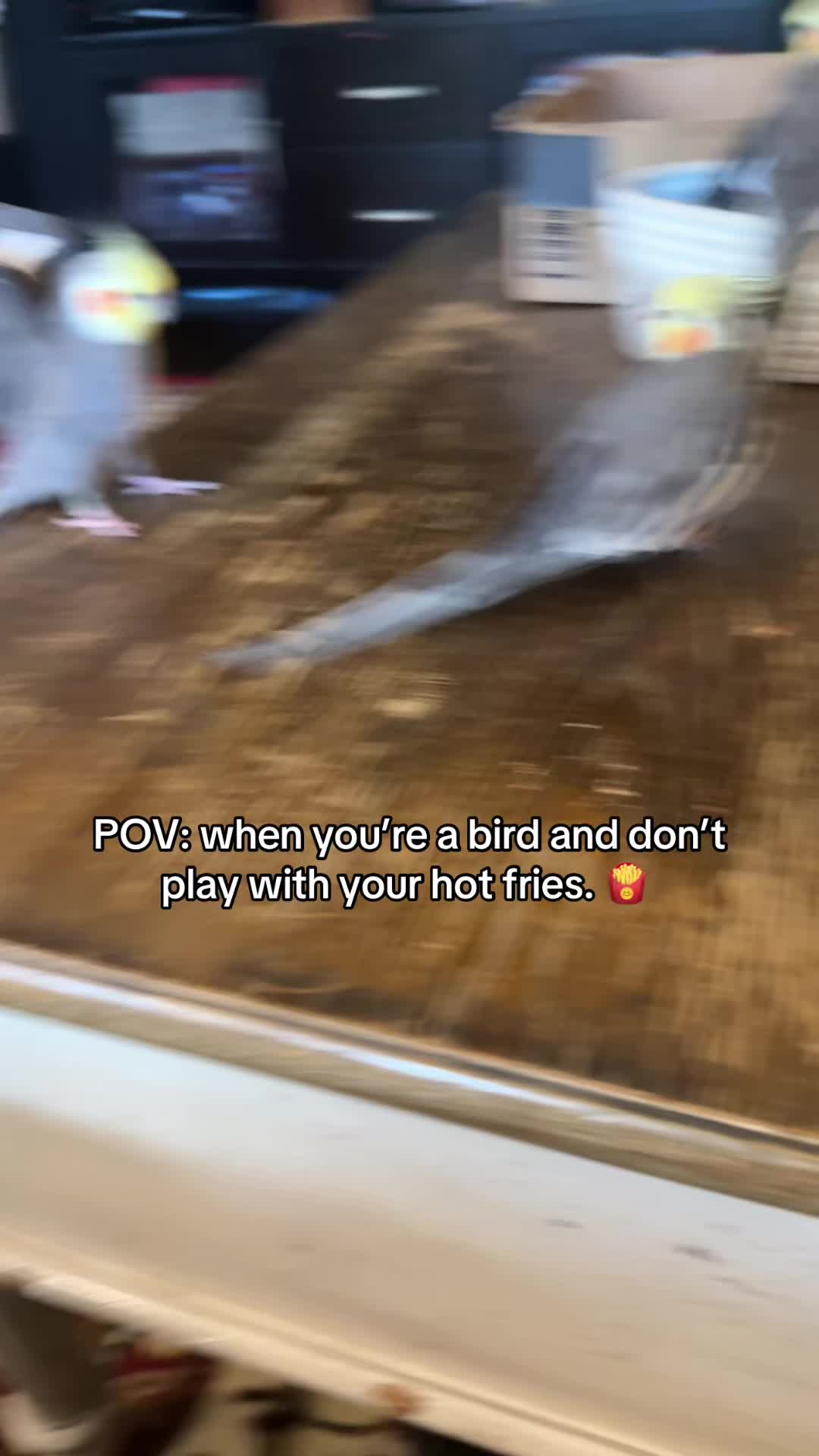 @🇺🇸🦜BirdieJo🦜🇺🇸