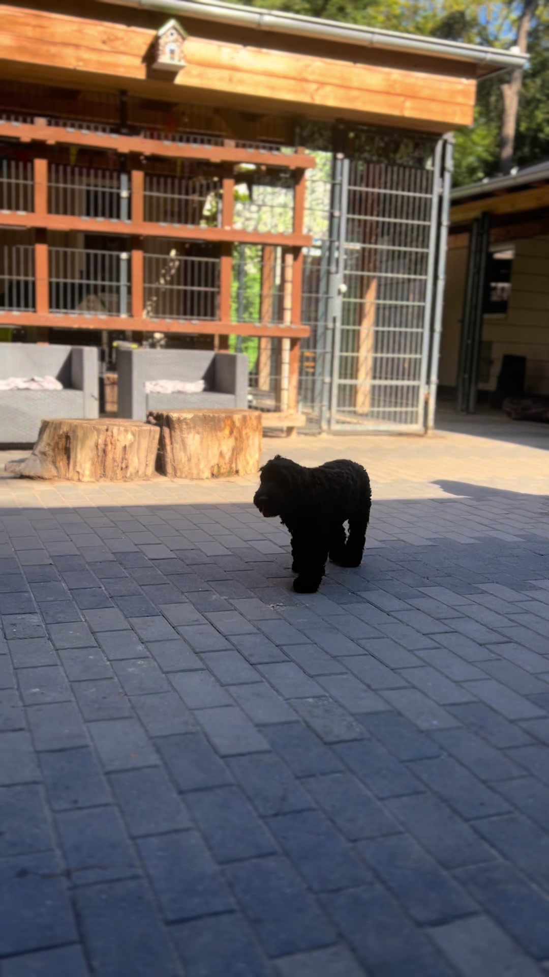 @Hunde- und Katzenpension