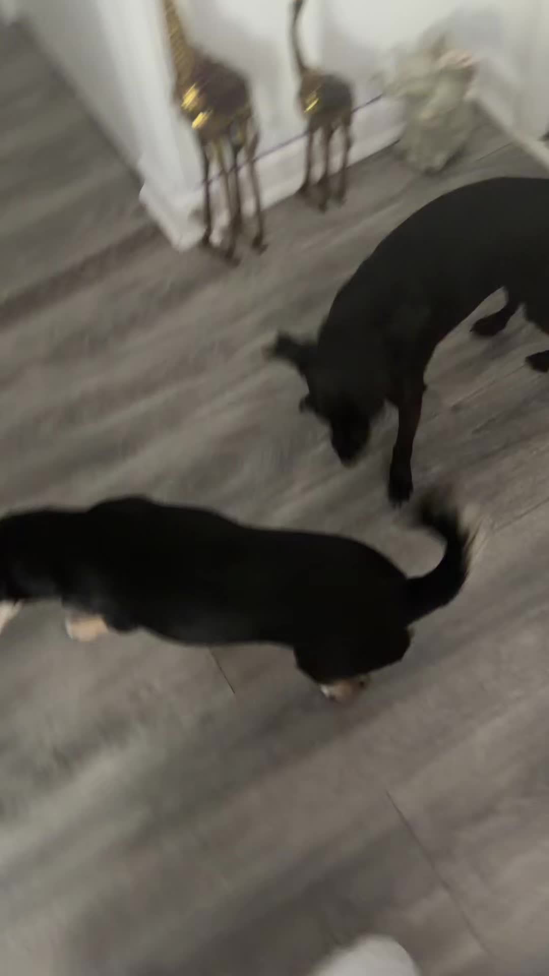 @𝙼𝚊𝚛𝚒