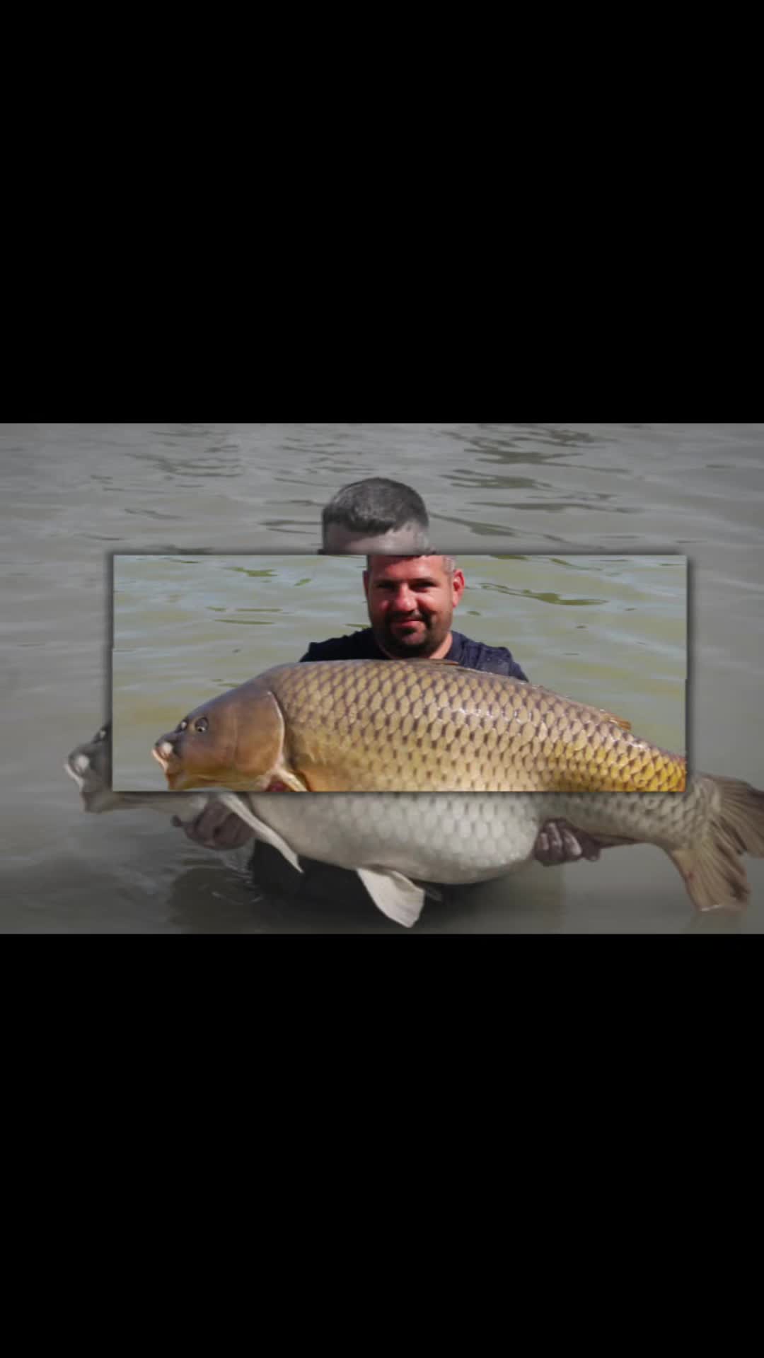@scaley waters