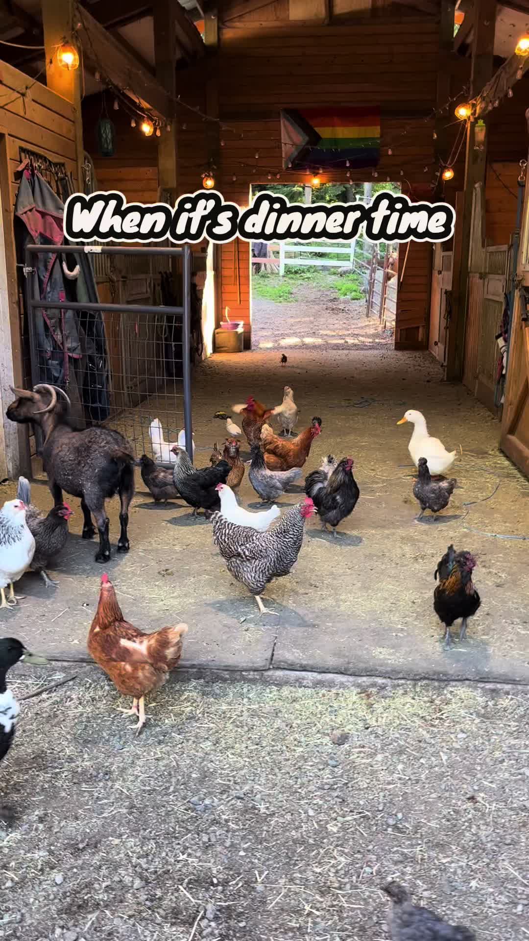 @The Bikini Farmer