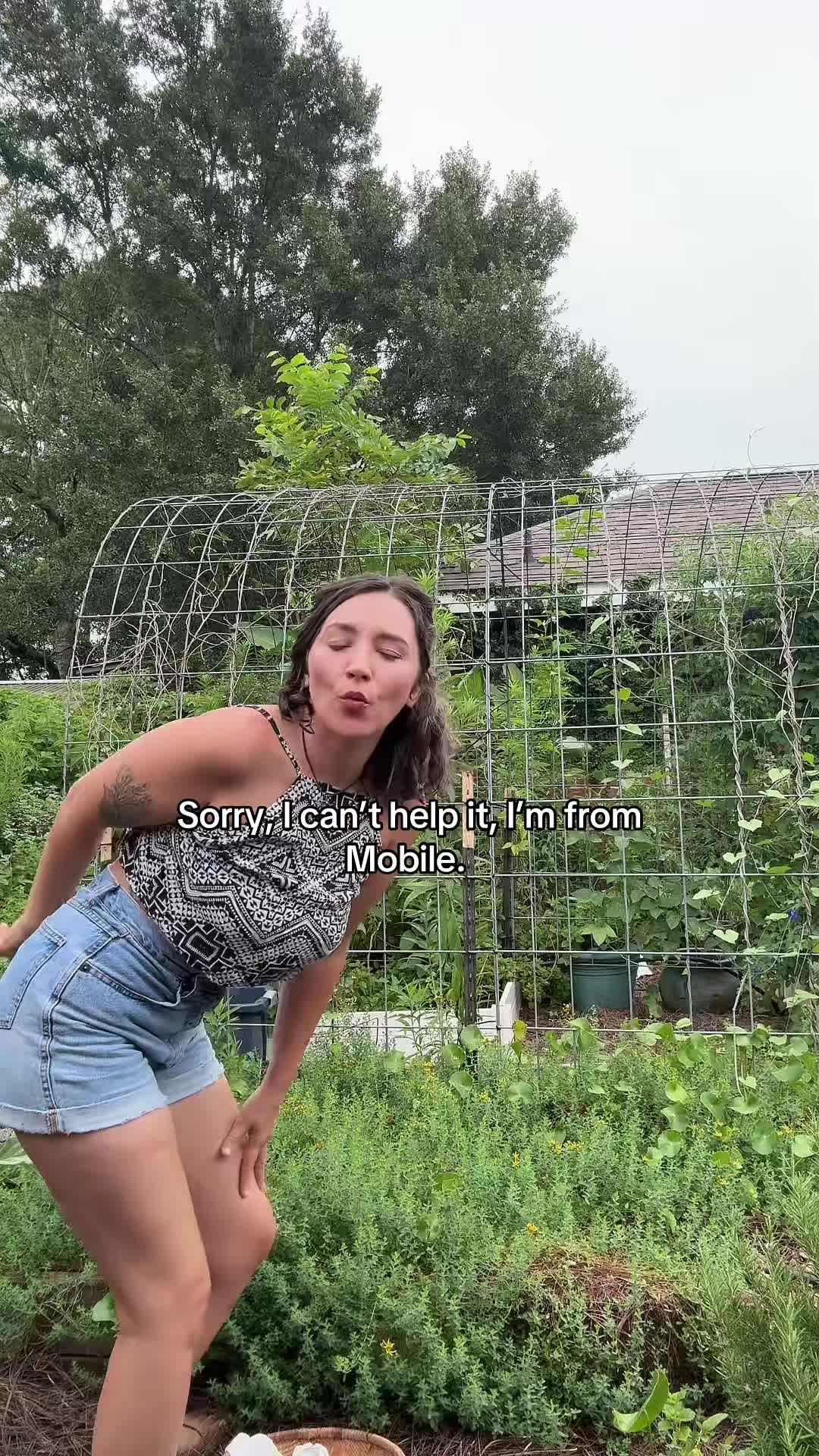 @Indigigardener